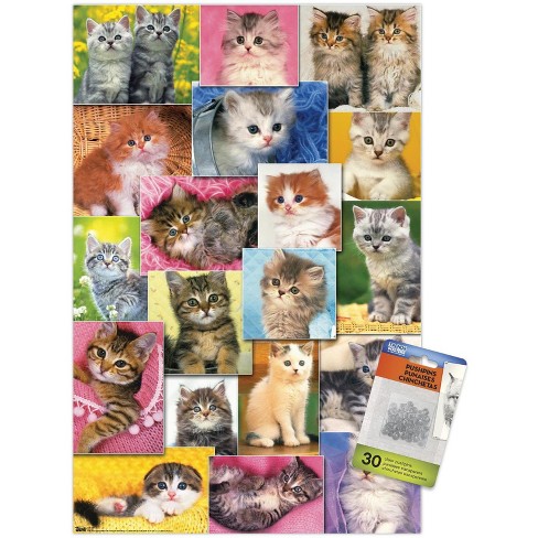 Trends International Keith Kimberlin - Kittens Collage Unframed Wall Poster Prints - image 1 of 4