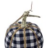 Northlight Plaid Fall Harvest Pumpkin with Weathered Stem - 7.75" - Dark Blue and White - 3 of 4