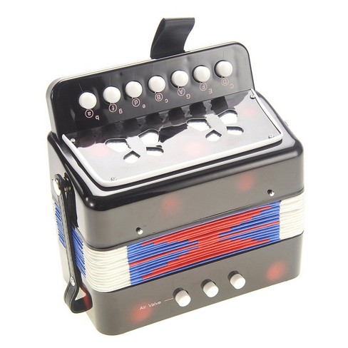 Small deals accordion instrument