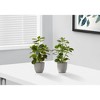 Cesicia 14" Tall Artificial Plant with Grey Pots, Ficus Leaves, Set of 2 - 4 of 4
