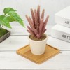 Unique Bargains Bamboo Wood Saucer Square Plant Tray Bonsai Succulent Pot - 4 of 4
