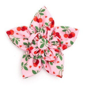 Cherries Jubilee Dog Flower - Adjustable Collar Accessory by The Worthy Dog - 1 of 4