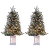 Artificial Christmas Tree With Warm White LED Lights- 3Ft Fiber Optic-Like Flocked Tree  for Home, Shops, Party and Holiday Christmas Decoration - 3 of 4