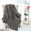 PiccoCasa 330 GMS Microfiber Polyester Luxury Flannel Fleece Soft Bed Blankets - 3 of 4