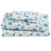 Collections Etc Shell Notes Sheet Set - 3 of 4