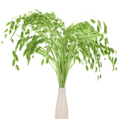 Unique Bargains Dried Grass Chasmanthium Oat Home Decor Flower Bouquet 1 Pc