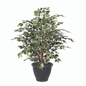 Vickerman Artificial Variegated Ficus Extra Full Series - 1 of 3