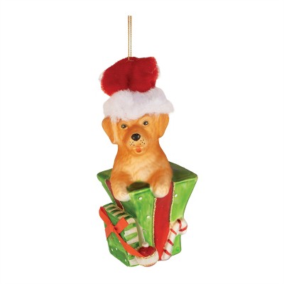 Puppy in Package Ornament (Set of 6)
