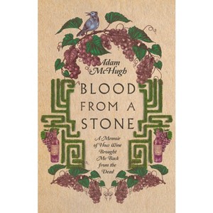 Blood From a Stone - by  Adam S McHugh (Paperback) - 1 of 1