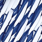 dark blue/white