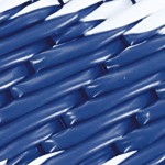 dark blue/white
