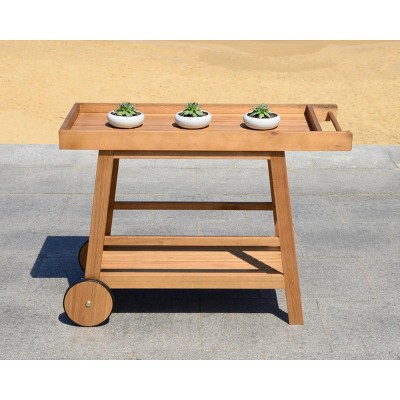 Renzo 48" Natural Wood Indoor/Outdoor Bar Cart with Storage