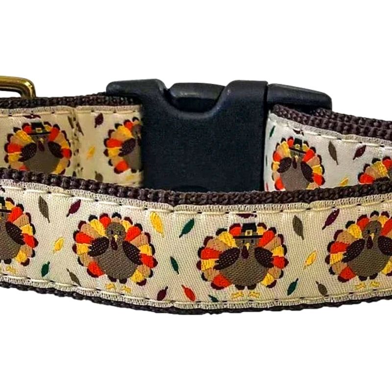 Midlee Thanksgiving Turkey Buckle Dog Collar- Made in The USA, 2 of 4