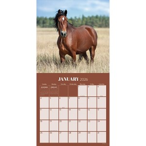 TF Publishing 13.5"x14.5" 2026 Horses Wall Calendar - 1 of 4