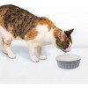 Pioneer Pet Loop Design Ceramic Bowls - Medium (6.5" x 2") - 3 of 3