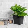 SEVOBAL Planters 6.3" Square Nursery Plant Pot With Drainage Holes Lightweight UV Resistant Durable And All Season (5 Pack), Black, 5.00"*5.00"*4.70" - 4 of 4