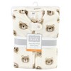 Hudson Baby Plush Long-Sleeve Sleeping Bag, Sack, Blanket, Bear - 2 of 2