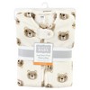 Hudson Baby Plush Long-Sleeve Sleeping Bag, Sack, Blanket, Bear - image 2 of 2