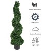 Pure Garden Faux Boxwood Artificial Tree - Realistic Plastic Topiary and Weighted Pot for Indoor or Outdoor - 3 of 4