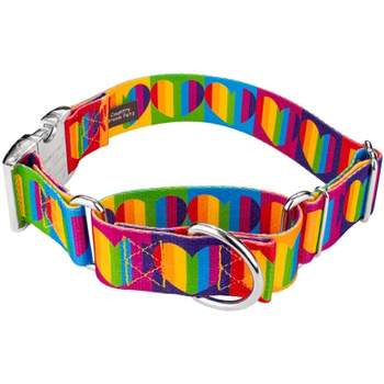 Country Brook Petz 1 1/2 Inch Rainbow Hearts Martingale with Premium Buckle Dog Collar