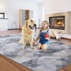 Washable Vintage Geometric Rug Non Slip Low Pile Rug Soft Throw Floor Cover Foldable Indoor Carpet for Living Room Bedroom Playroom Nursery - 4 of 4