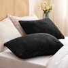 Flannel Pillowcases, 2 - Pack, Soft Fleece with Zipper, Black, 20x26 Inches for Bedroom, Sofa - 2 of 4