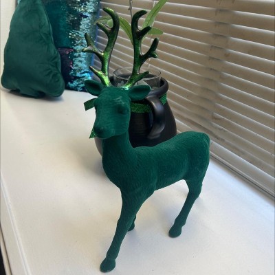 Guest review image 1 of 1, zoom in