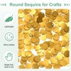 Unique Bargains PVC Lightweight Durable Bend-Resistant Sequin Embellishments 1980 Pcs - 2 of 4