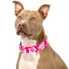 Country Brook Petz 1 1/2 Inch Pink Hawaiian Martingale Dog Collar - image 3 of 4