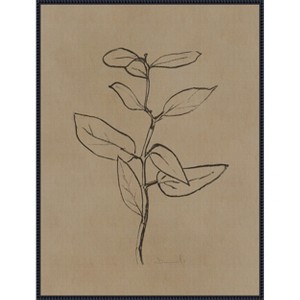 Amanti Art Eucalyptus Sapling by Dan Hobday Framed Canvas Wall Art - 1 of 4