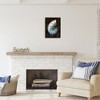 Stupell Industries Dark Nautilus Shell, 16" x 20" - 2 of 4