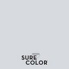 Rust-Oleum 2pk Sure Color Eggshell - 4 of 4