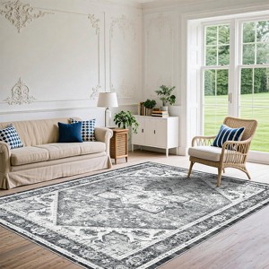 Washable Rug - Low Pile Ultra-Thin Soft Carpet with Non-Slip Backing, Non-Shedding Accent Rug for Living Room, Bedroom, Entryway - 1 of 4