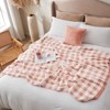 Snuggle Sac Ultra-Soft Microfiber Knit Throw Blanket, Reversible Checkered Design - 3 of 4