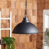 Melila 12" Outdoor Pendant - PLT7019 - Black - Safavieh - 3 of 3