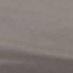 dove gray, charcoal, ivory