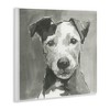 Stupell Industries Muted Dog with Quiet Expression, 12" x 12" - 3 of 4