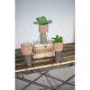Cheery Friends Clay Planter Pots 7"H - Clay & River Rock Pot Head Shelf Sitters, (2 X Set of 3) by Kalalou - 3 of 3
