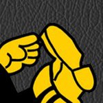pittsburgh steelers