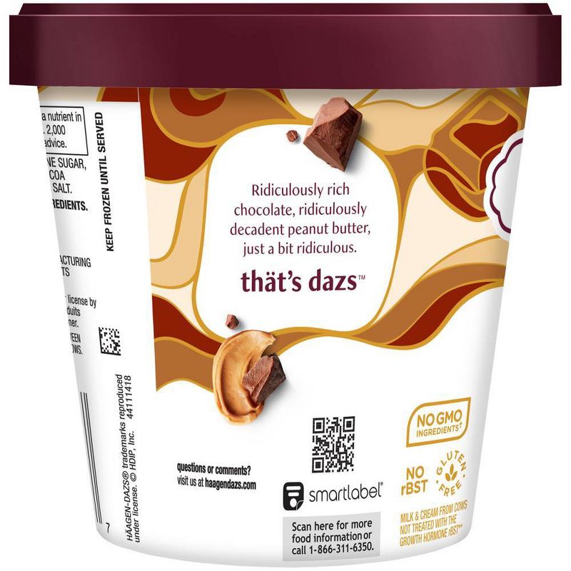 Haagen Dazs Chocolate Peanut Butter Ice Cream - 14oz, 4 of 9