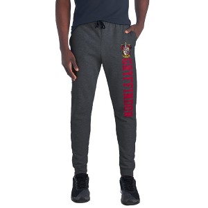 Harry Potter Gryffindor Collegiate Unisex Jogger Sweatpants with Pockets for Men and Women Charcoal - 1 of 4