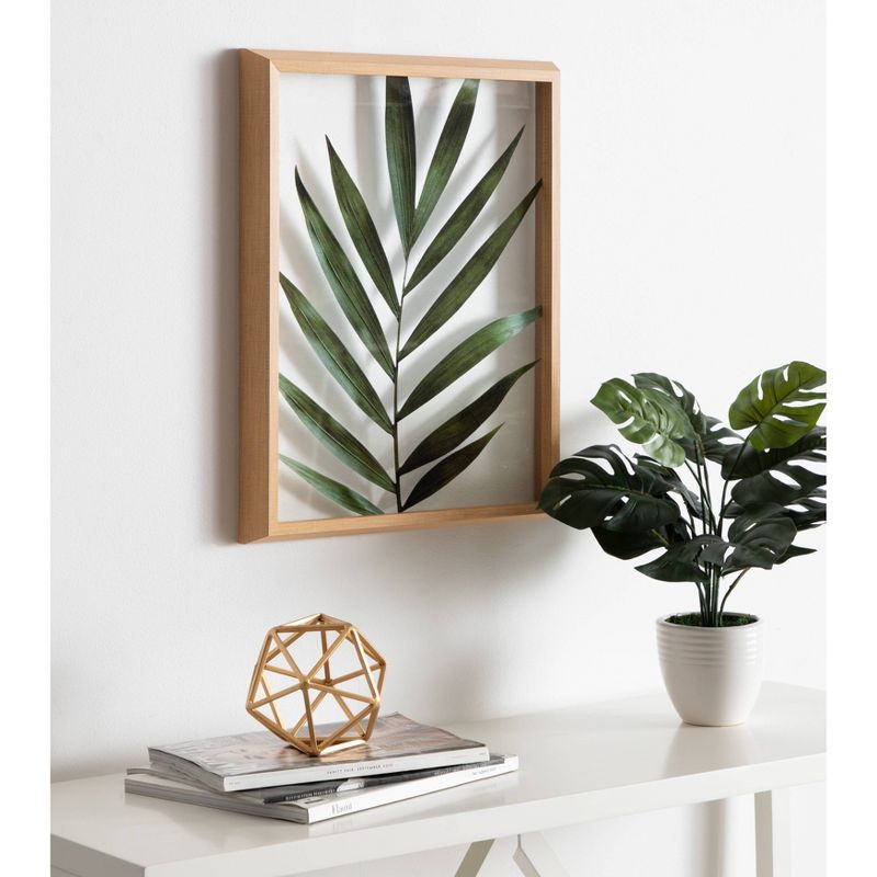 16&#34; x 20&#34; Blake Botanical 5F Framed Printed Glass by Amy Peterson Natural - Kate and Laurel, 6 of 10