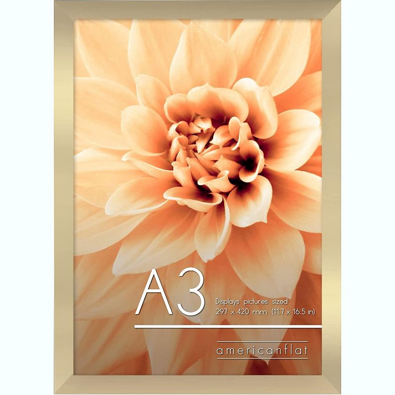 Americanflat Poster Frame with plexiglass - Available in a variety of sizes and styles, 1 of 5