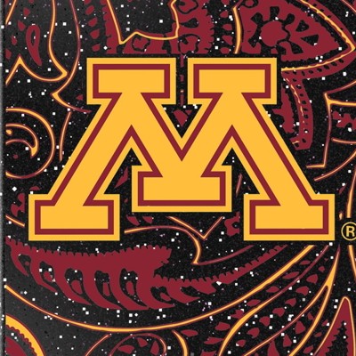 minnesota golden gophers