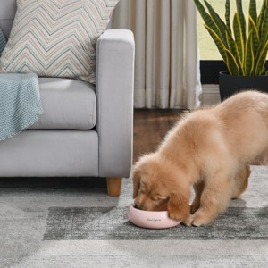 Sam's Pets Short Tulip Pet Bowl In Glossy Pink - 1 of 4