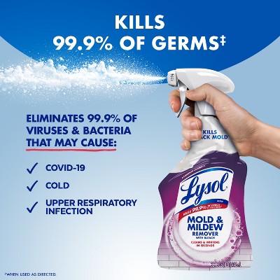 Lysol Mold & Mildew Remover - Thumbnail 3