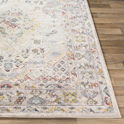 Newkirk Gray and Taupe Traditional 8' x 10' Area Rug