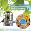Munora Squirrel-proof Bird Feeder - 7"x7"x10" Metal Caged Tube, Outdoor Seed Guard with Stainless Steel Hanger, Green - 3 of 4