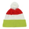 Dr. Seuss GRINCH Embroidered Face Color Block Pom Fold Cuff Adult Knit Beanie Multicoloured - 2 of 4