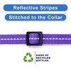 Recycled Reflective Cat Collar - 4 of 4